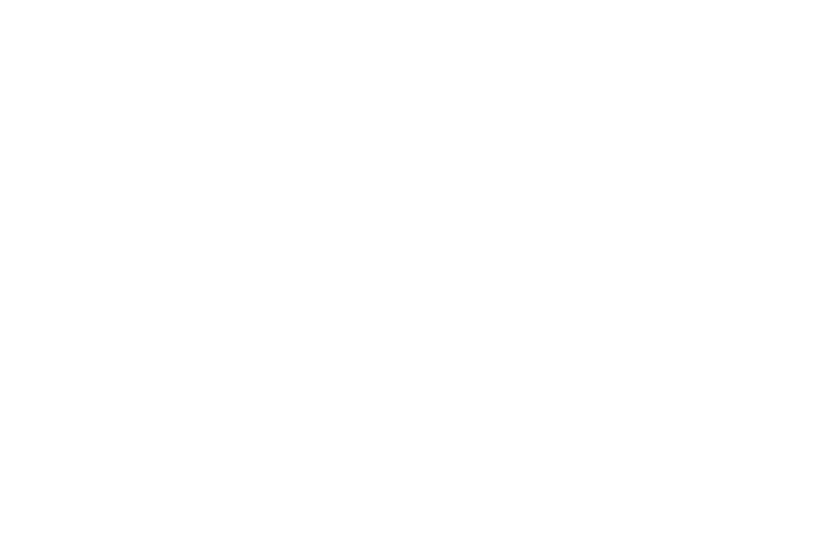 100 Black Men of DeKalb County